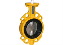 Picture of Butterfly valve (Type 2235)