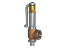 Picture of Cryogenic angle safety valve