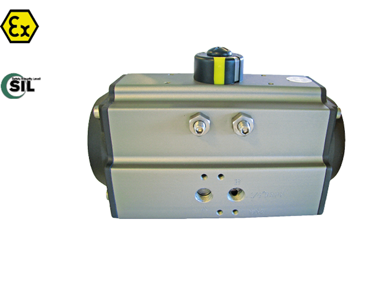 Pneumatic actuator (Type 5050/5052 DA)