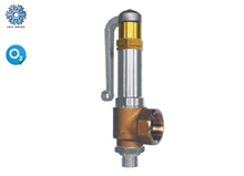 Cryogenic angle safety valve  (06416)