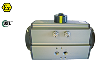 Pneumatic actuator (Type 5050/5052 DA)