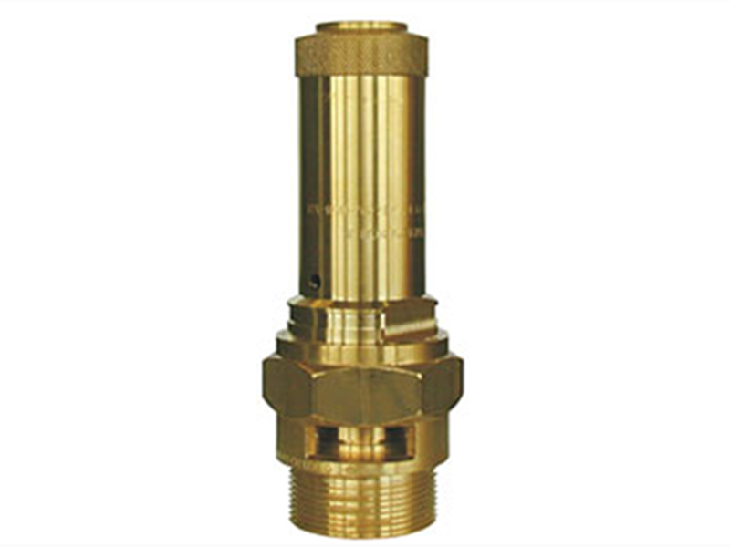 Safety valve (06205, 06216, 06217)